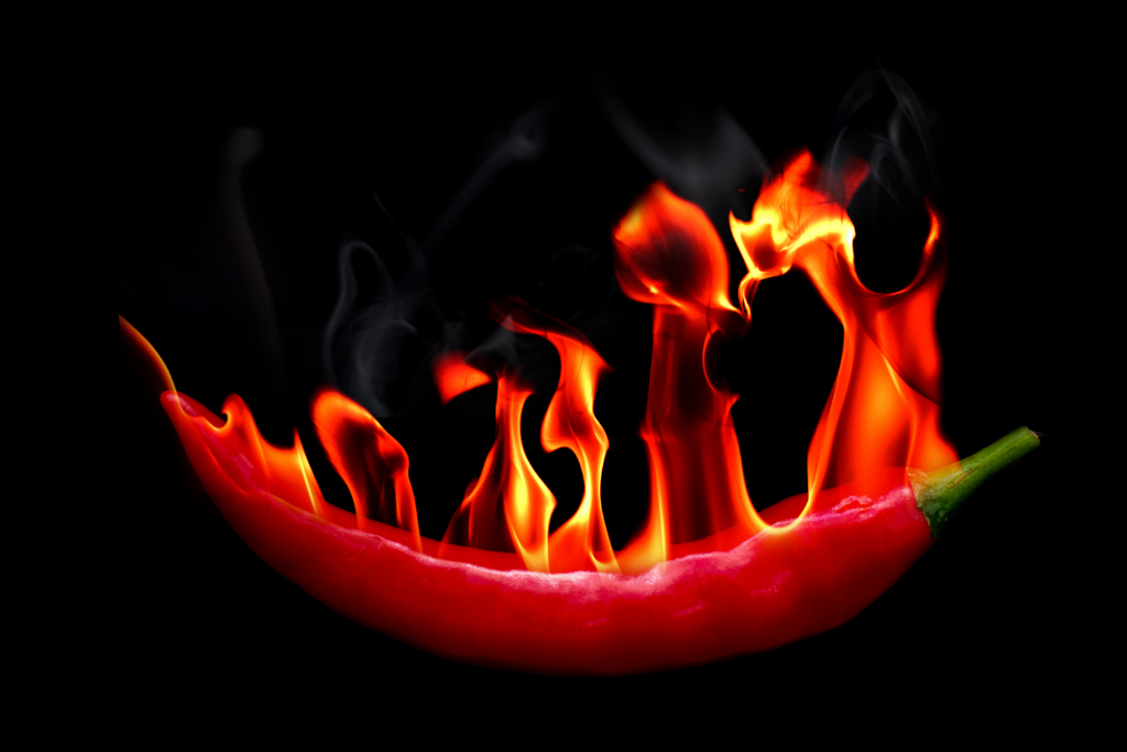 Hero Image